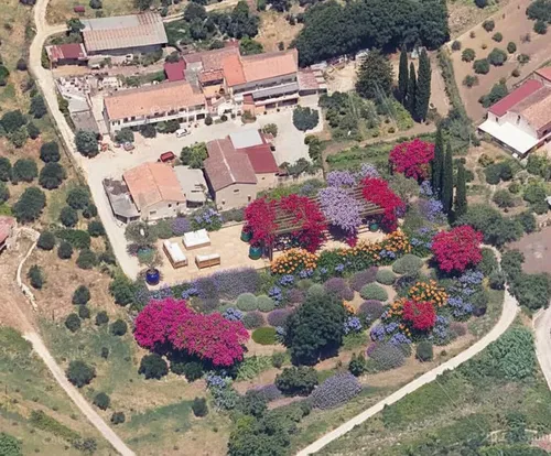 Tropical garden oasis with palms and lighting