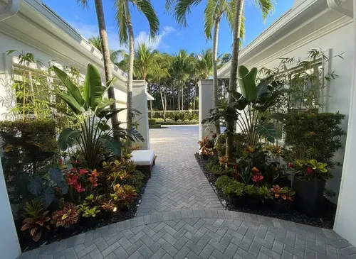 Low maintenance desert landscaping design