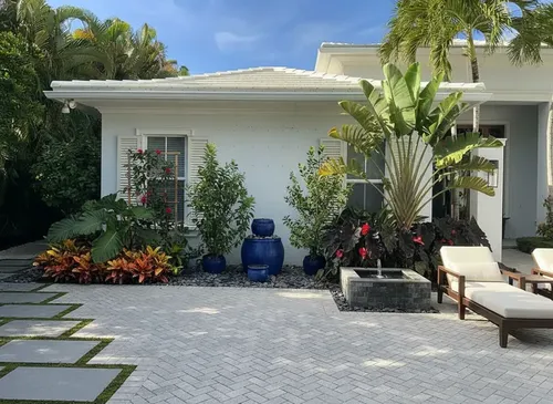 Vegetable garden layout and raised beds