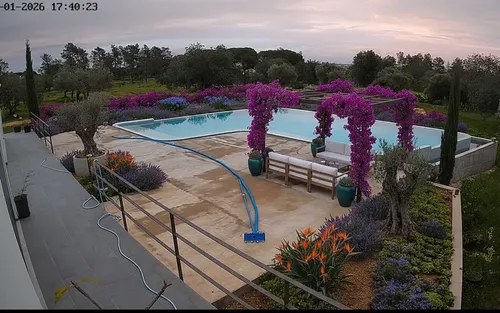 Contemporary patio pavers and planting plan