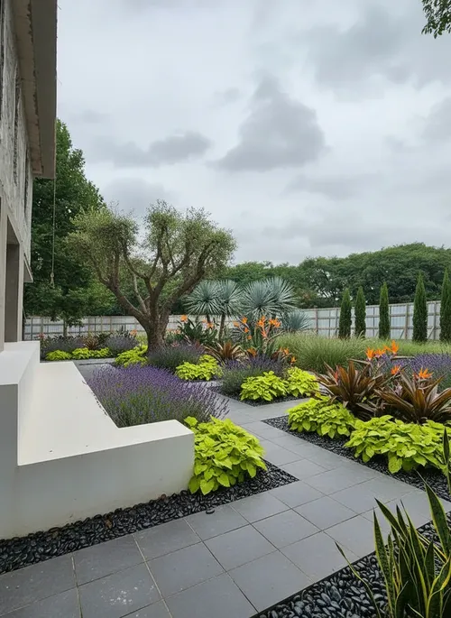 Low maintenance desert landscaping design