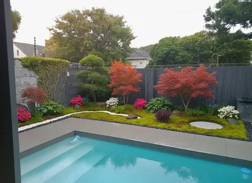 Drought tolerant front yard xeriscape ideas