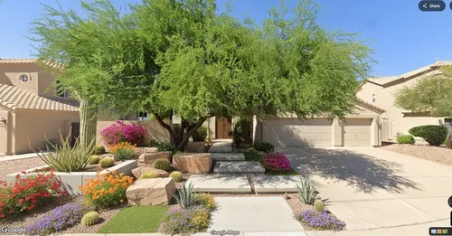 Contemporary patio pavers and planting plan