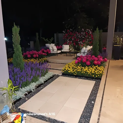 Low maintenance desert landscaping design