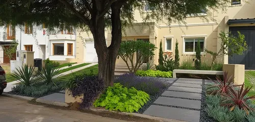 Drought tolerant front yard xeriscape ideas