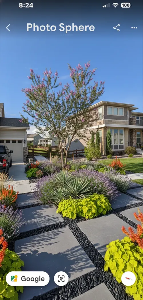Tropical garden oasis with palms and lighting