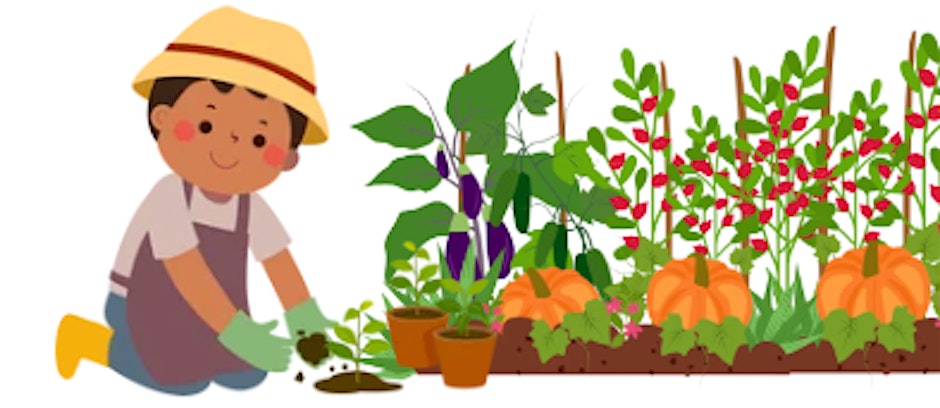 2026 Fall Beginning Gardening Series - Annual Landscape To-Do's