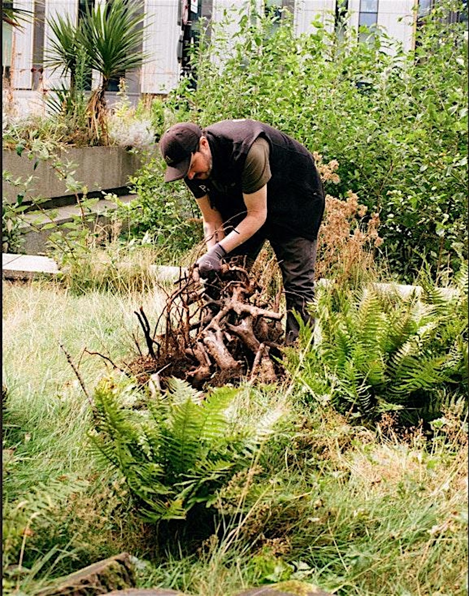 Wildlife Gardening Club “Deadwood”