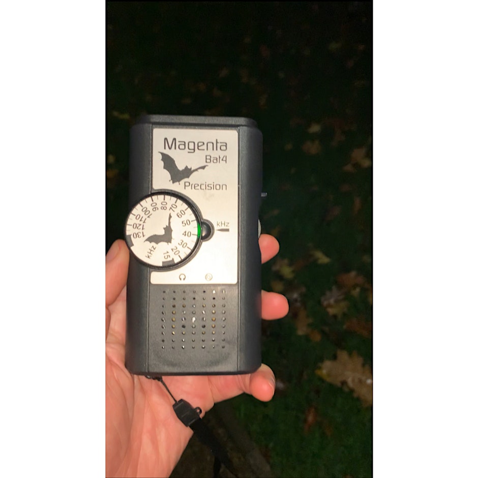 Wildlife Gardening Club “Bat Walk with South Lancashire Bat Group”