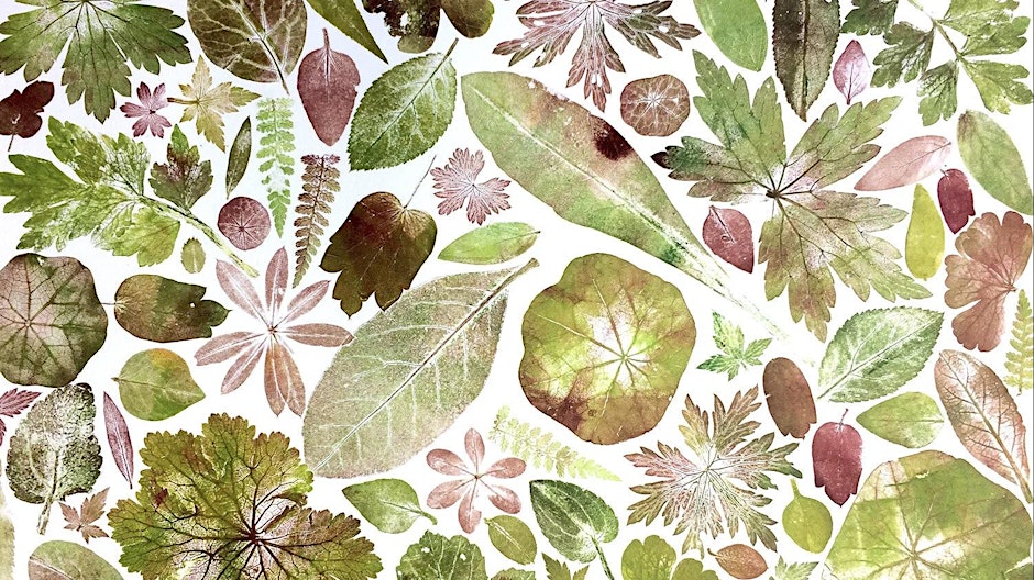Botanical inks in the gardens.