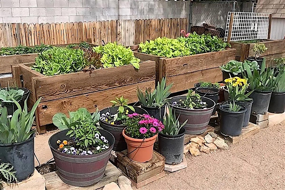 Raised Bed and Container Gardening