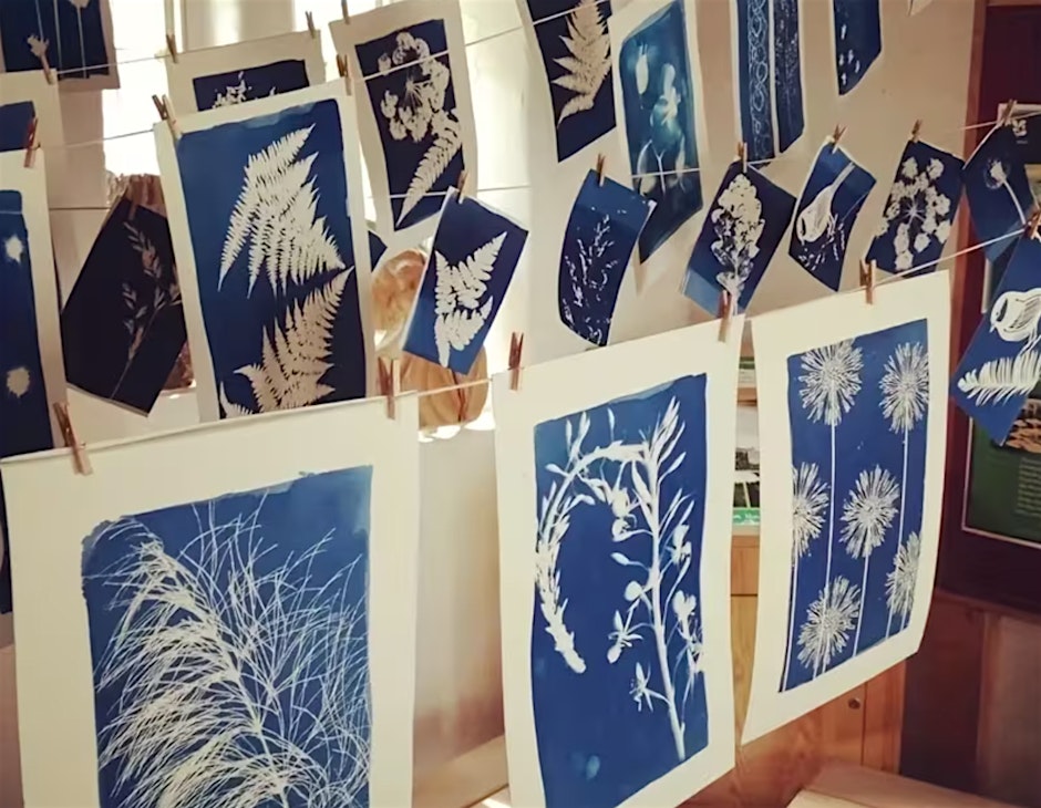 Cyanotype & Early Photography: Botanical Sun Printing Workshop