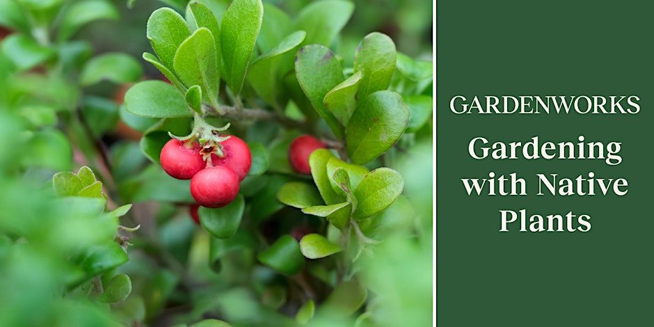 FREE Seminar: Gardening with Native Plants at GARDENWORKS Mandeville
