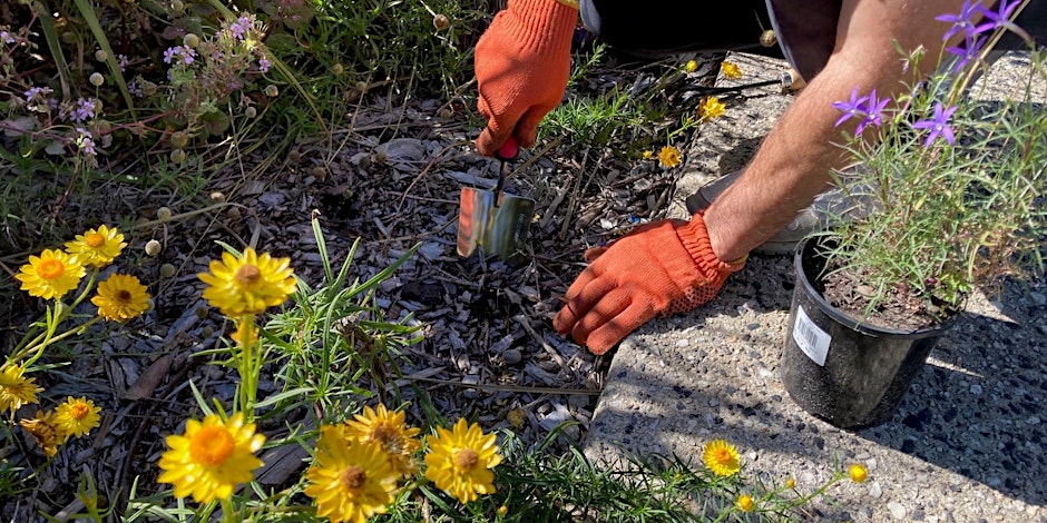 Keon Park Children's Hub Monthly Drop-in Gardening Group