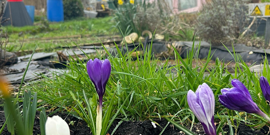 Community Gardening & Creative Sessions