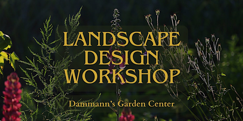 DIY Landscape Design