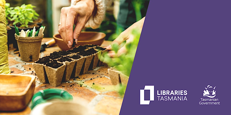 Burnie Seed Library Session at Burnie Library
