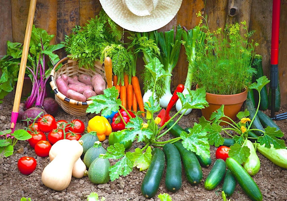 Vegetable Gardening Lecture