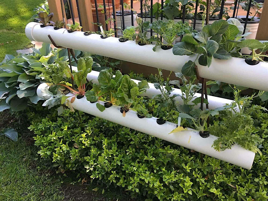 Hydroponic Gardening Lecture
