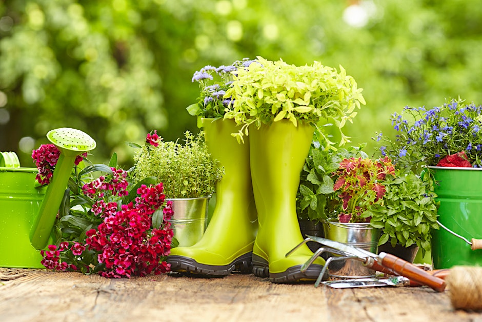 Lifelong Gardening with NC Extension Master Gardeners