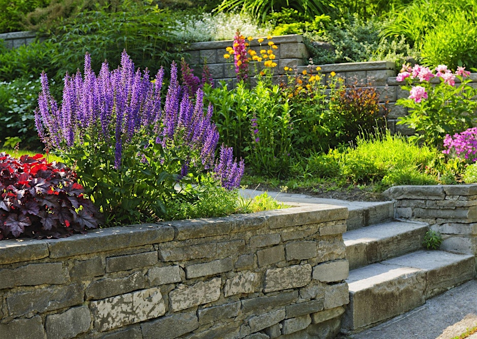 Landscape Design for Beginners