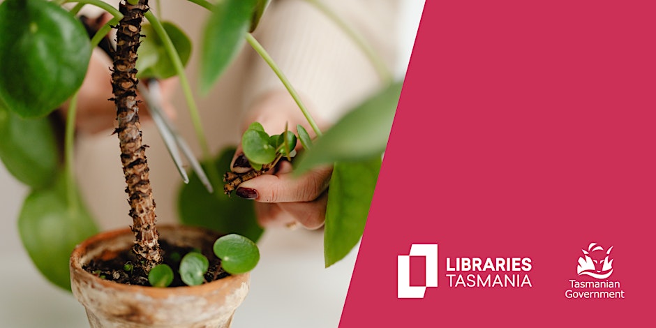 Get back into gardening - plant swap at Rosny Library