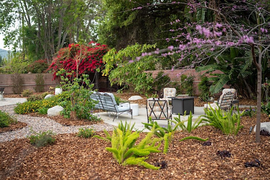 Create Garden Magic with Landscape Design Basics.
