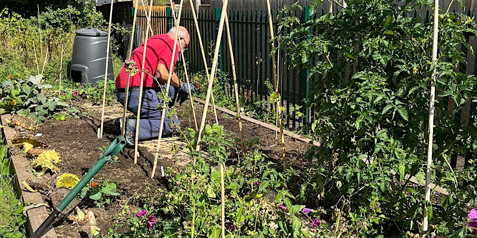Lyttelton Community Gardening