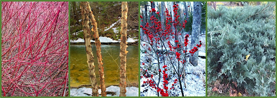 Learn to Grow: 'Winter Gardening- Aiming for Year-Round Appeal'