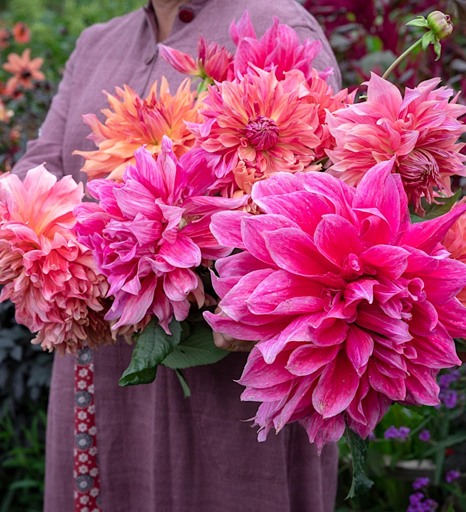 Perch Hill Garden Open Day - Saturday 29th August 2026