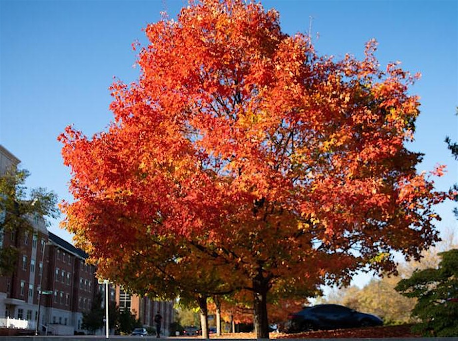 2026 Fall Capital Garden Workshop