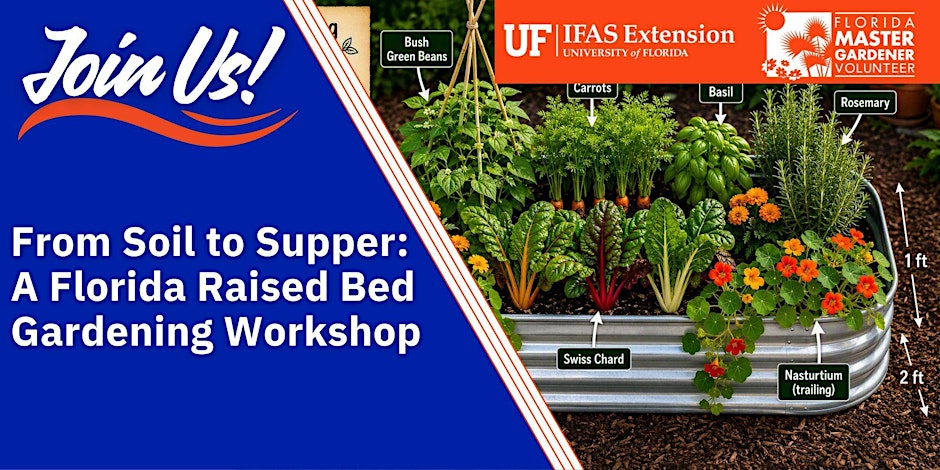 From Soil to Supper: A Florida Raised Bed Gardening Workshop