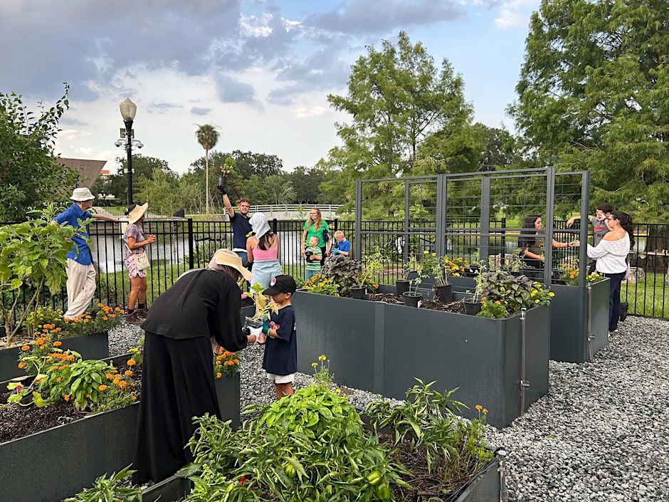 MLK, Jr. Park Learning Garden: Fall Gardening