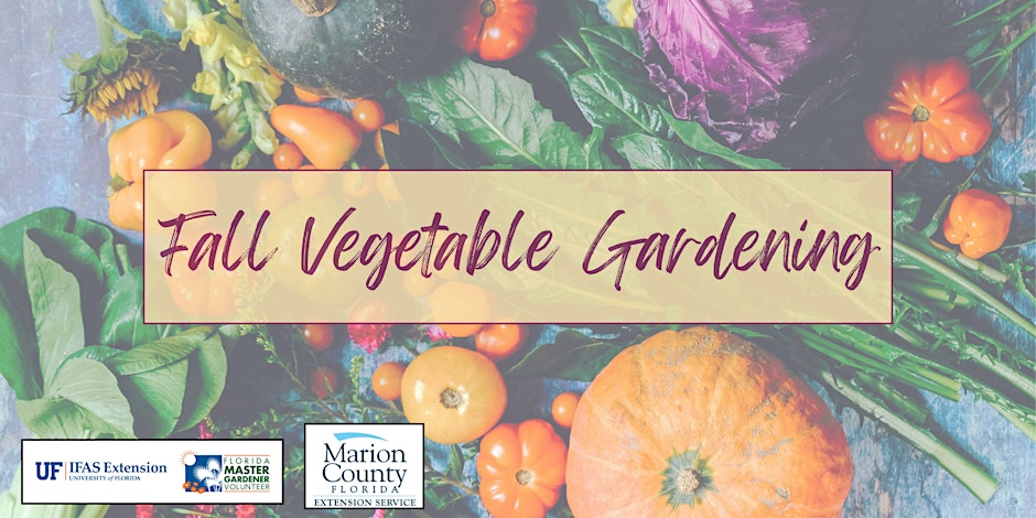 Fall Vegetable Gardening