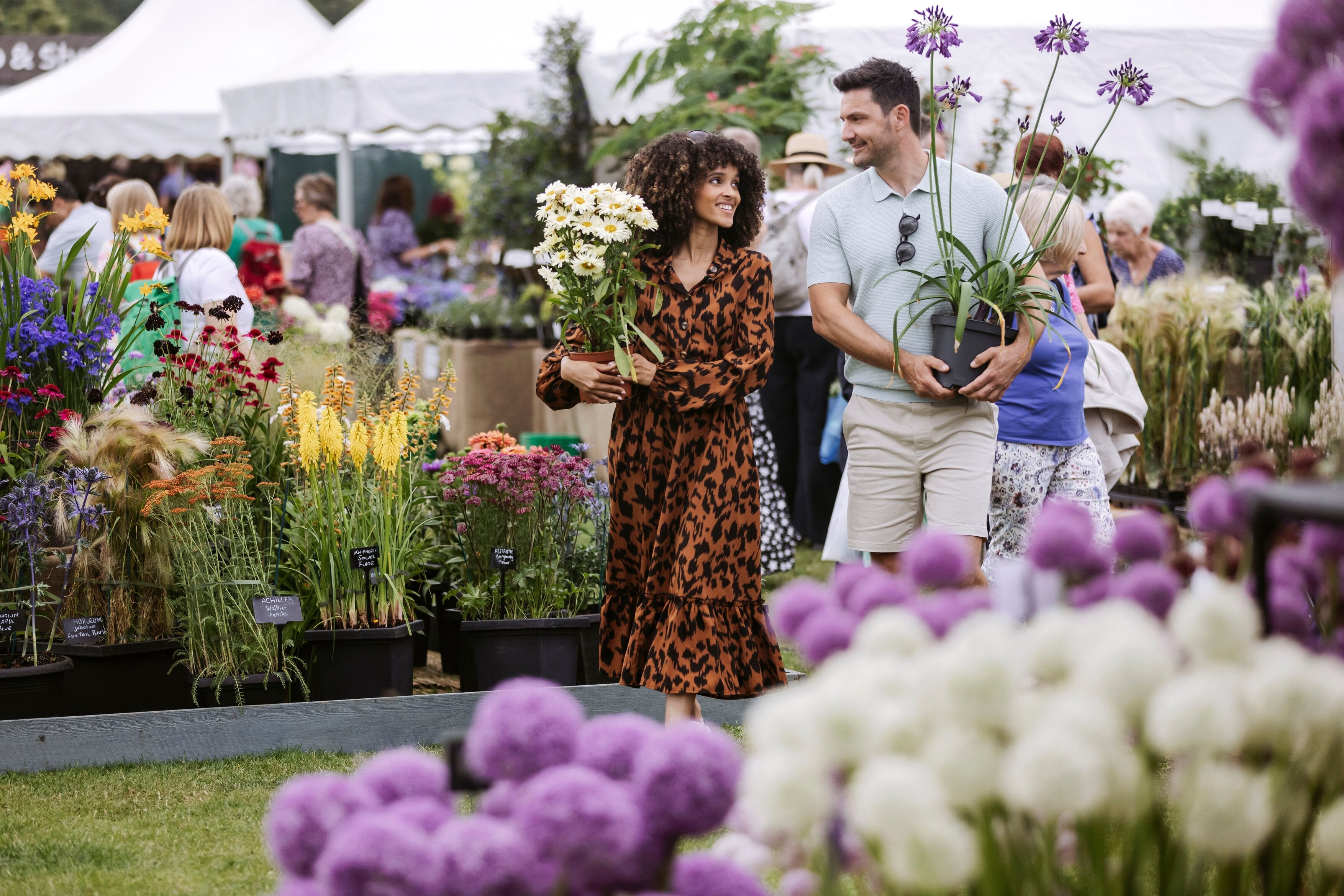 RHS Flower Show Tatton Park