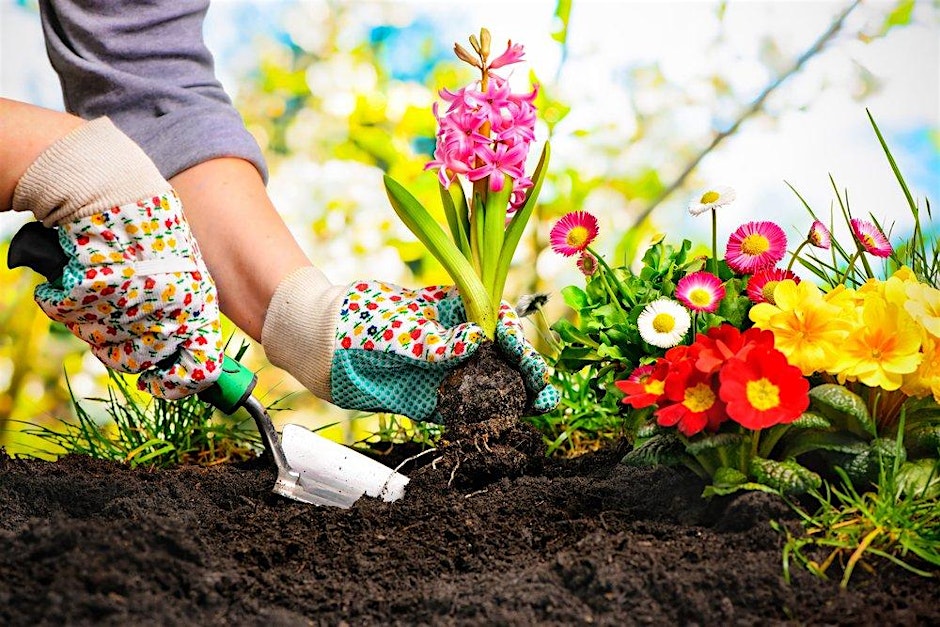 Gardening Discussion Group