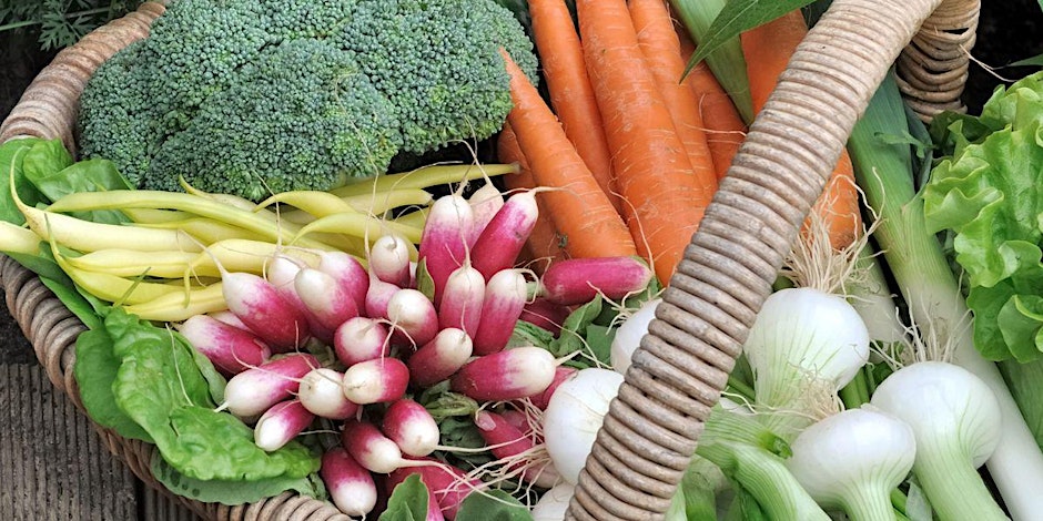 Fall Gardening & Seed Starting Workshop - Raleigh