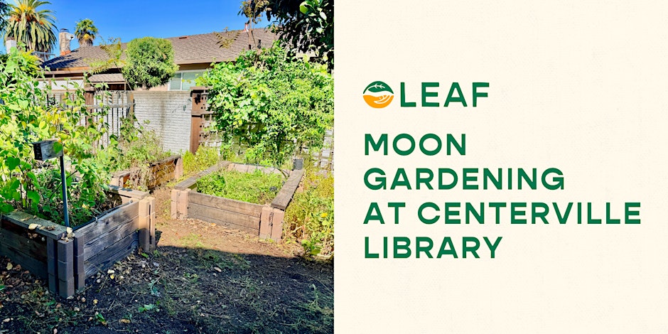 Moon Gardening at Centerville Library