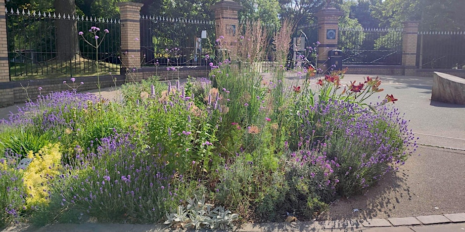 Flower Friday – Volunteer Gardening in Crystal Palace