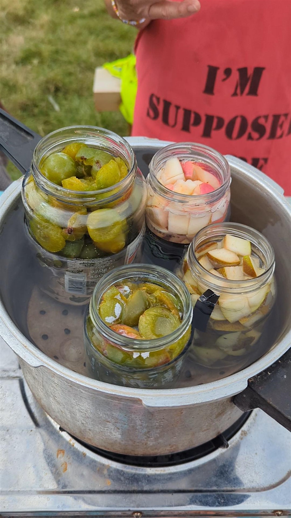 Fruit Preservation Workshop x Community Gardening Session