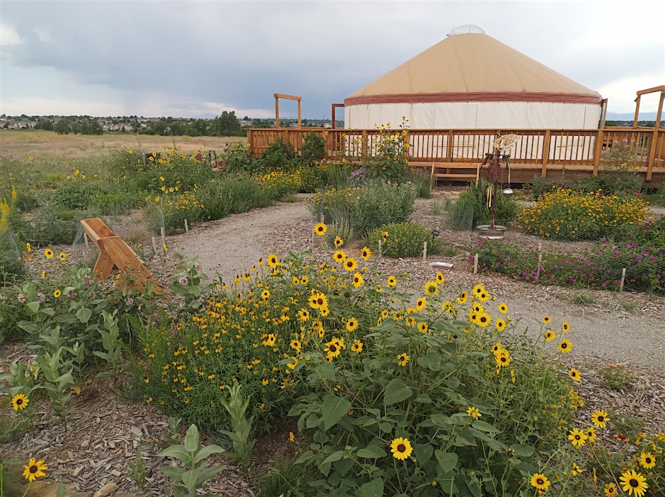 Native Plant Gardening Through The Seasons