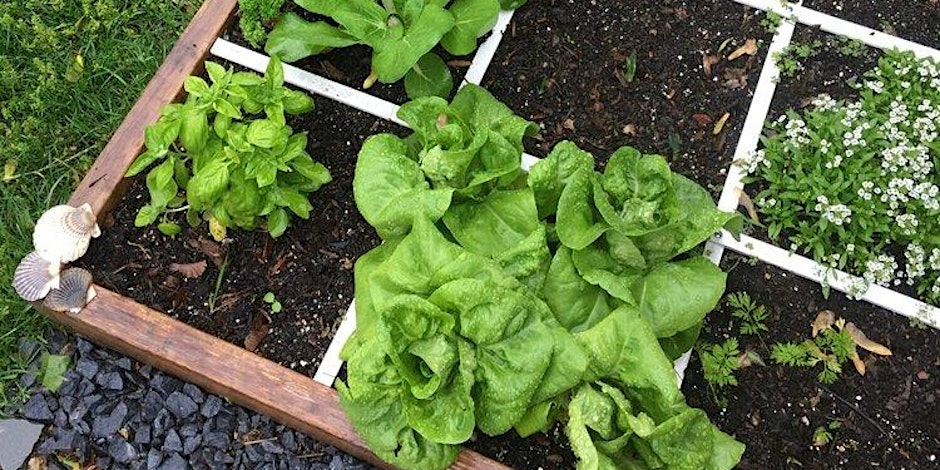 Foot by Foot/Refresher Gardening Class 9.26