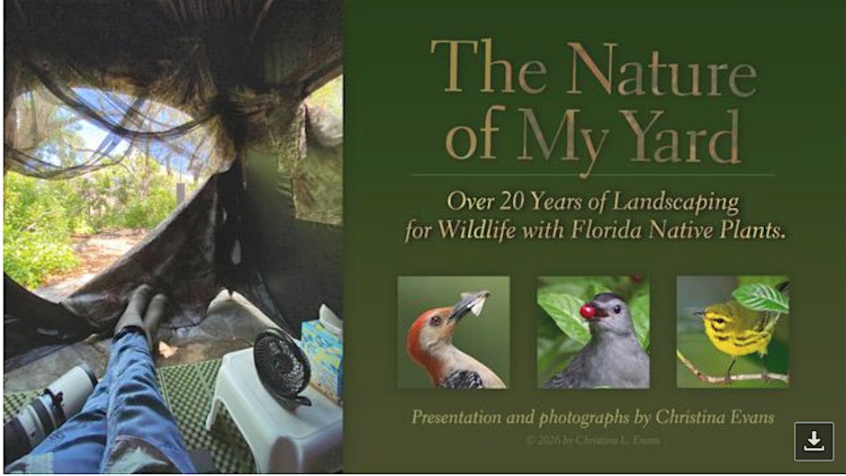The Nature of My Yard - Landscaping for Wildlife with Native Plants