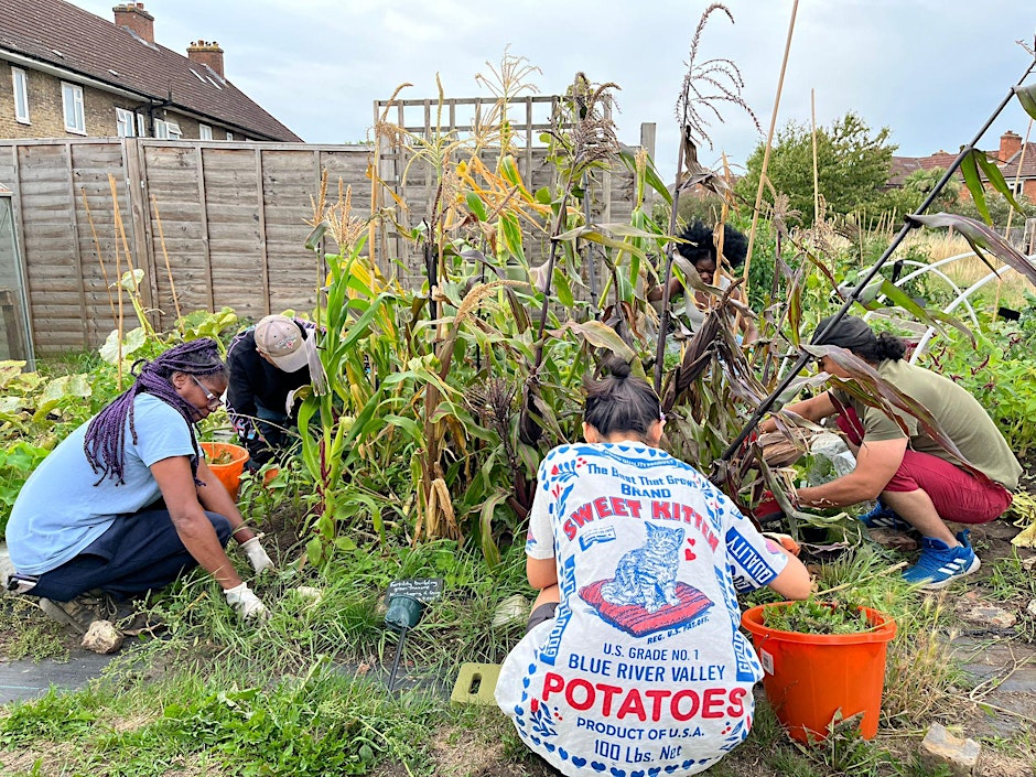 Open Gardening Day