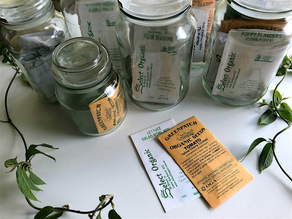 23rd September - Seed Saving and Seed Wisdom