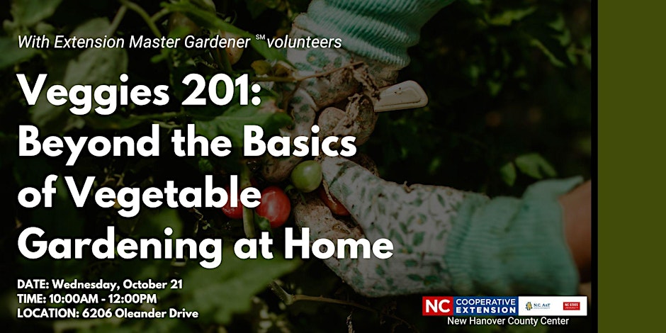 Veggies 201: Beyond the Basics of Vegetable Gardening at Home