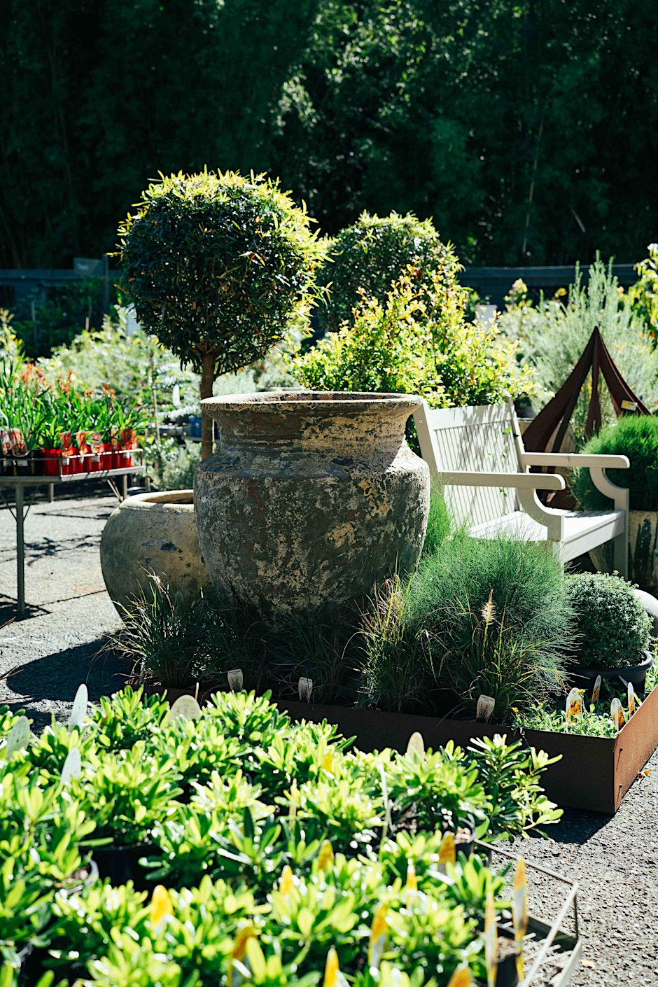 Gardening in small spaces with Renee Holbrook