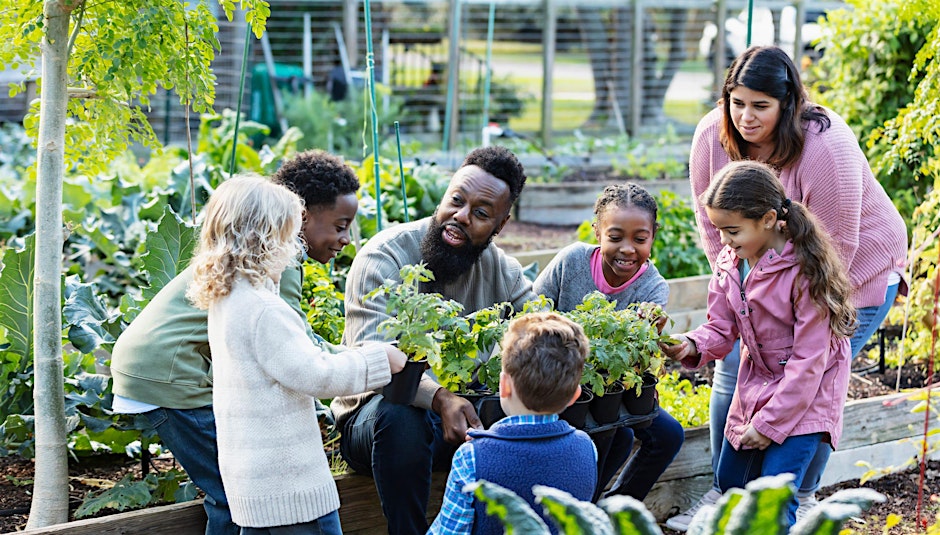 Cloverdale Community Garden Training and Food Security Initiative