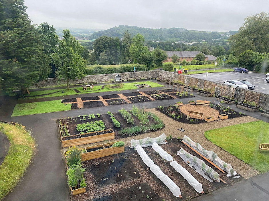 Parc Dewi Sant Wellbeing Gardens CIC. Wellbeing Garden Sessions