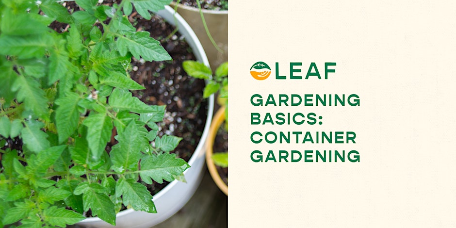 Gardening Basics: Container Gardening